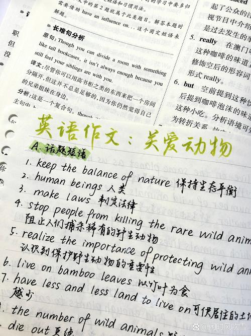 l prefer作文，i prefer作文