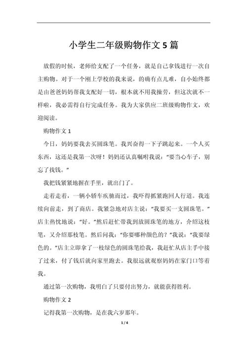 写购物的好作文，写购物的好作文600字