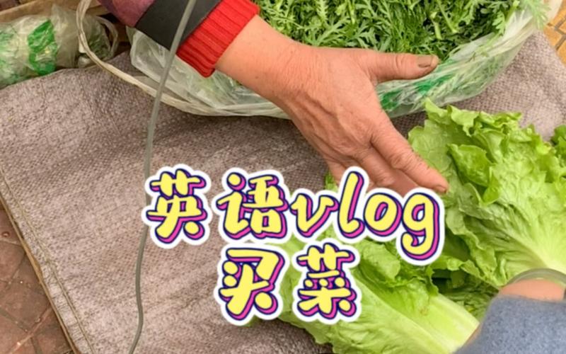 趣味口语买菜，趣味口语买菜视频