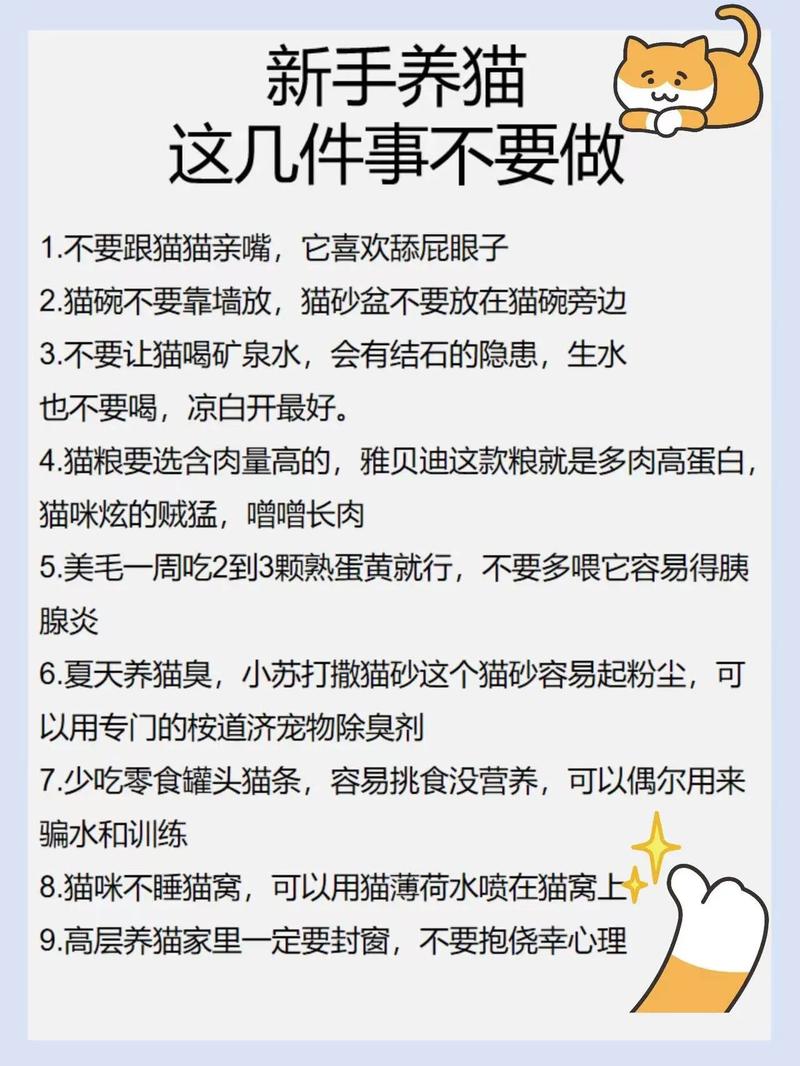 宠新手养宠知识常识