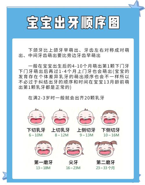 幼儿园长牙齿常识