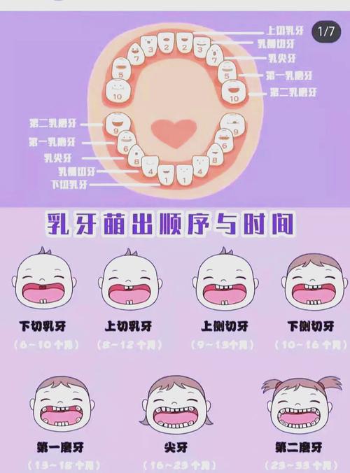 幼儿园长牙齿常识