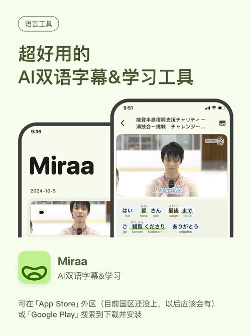 国外做中文口语,国外做中文口语的软件