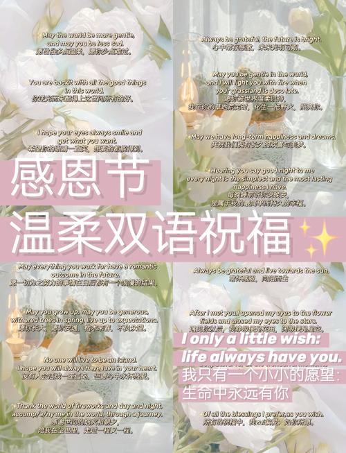 感恩节常识100条