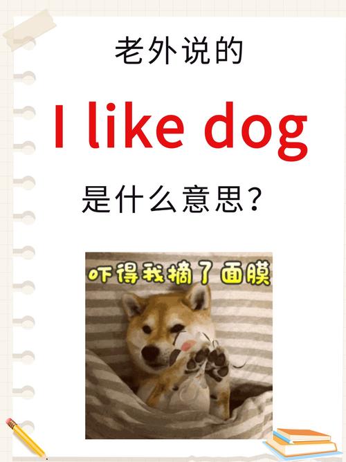 panda雅思口语,雅思口语dog