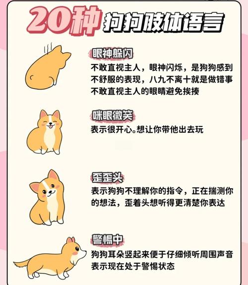 panda雅思口语,雅思口语dog