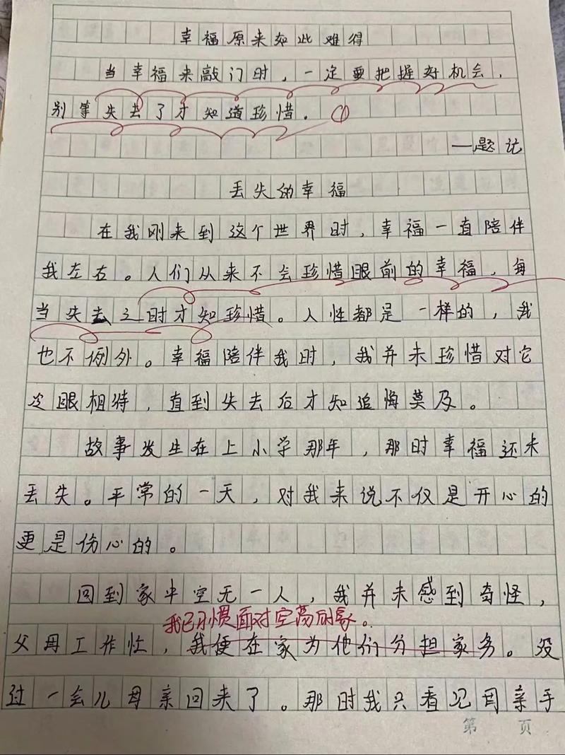 费用已付清作文，付出的费用