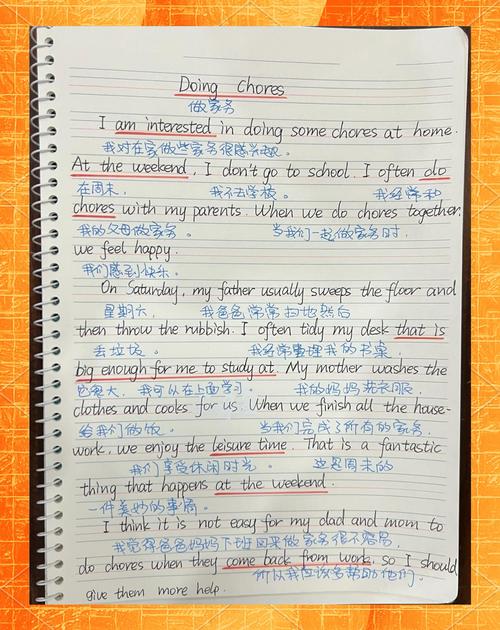 home work 的作文，homework的作文怎么写