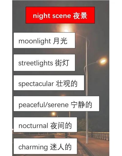 night的口语，night night口语