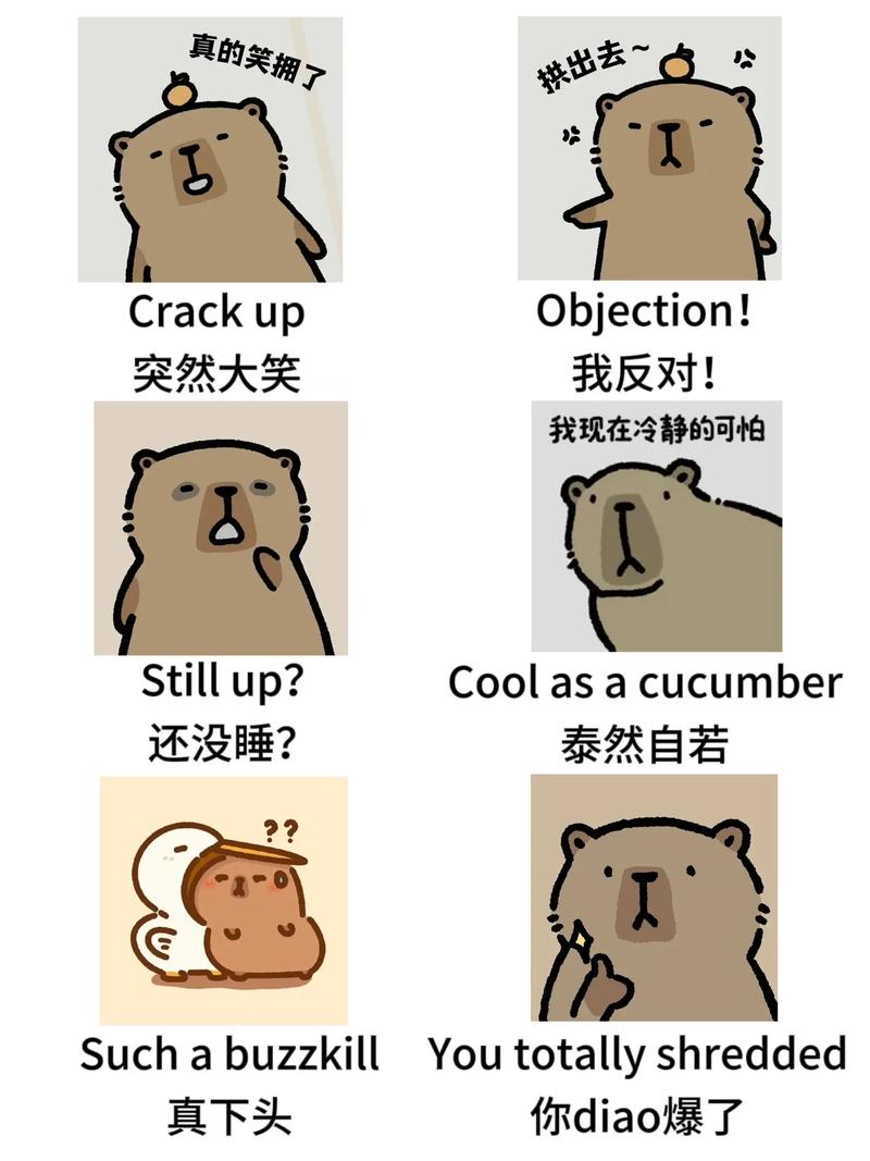 口语表情图，口语表情包