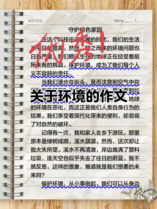 环境问题 作文