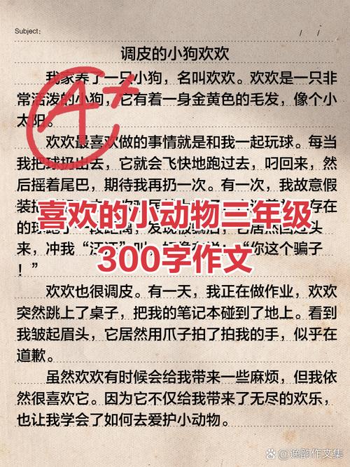有趣的动物口语作文,有趣的动物口语作文三年级
