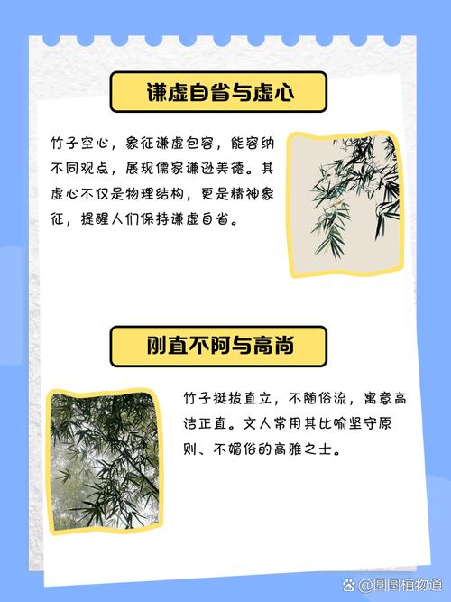雅思口语 植物 竹子