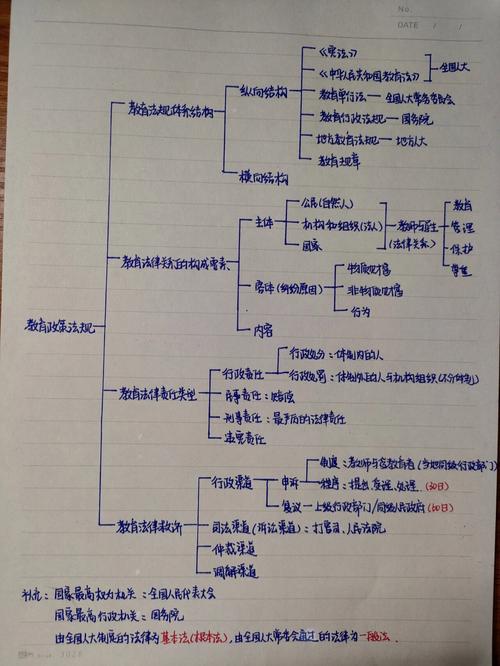 教育的法规和政策影响