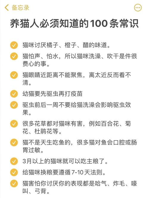 猫咪的一些常识