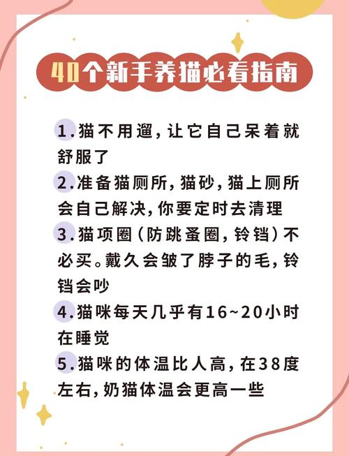 猫咪的一些常识