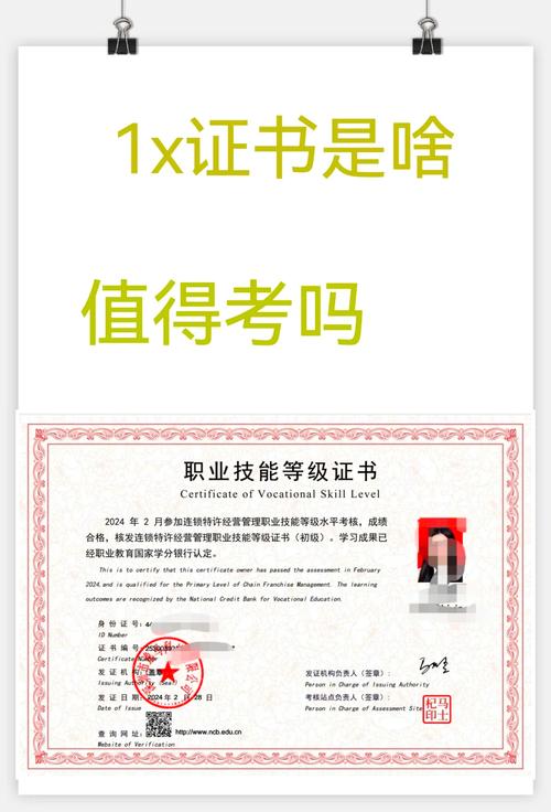 教育部1 x证书政策