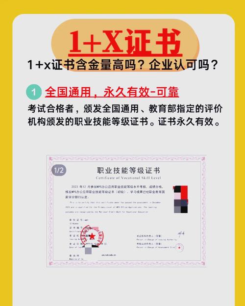 教育部1 x证书政策