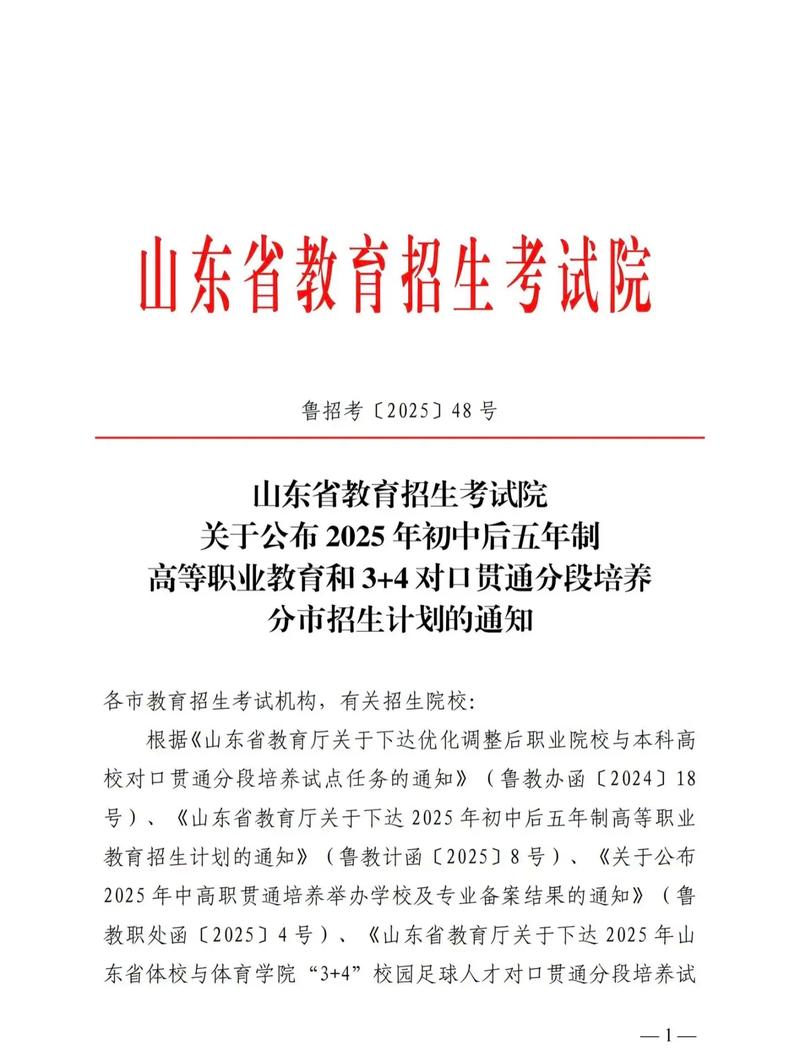 山东信息化教育政策