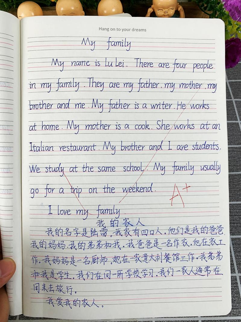 描家的英语作文