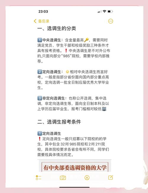 教育部校内调剂政策