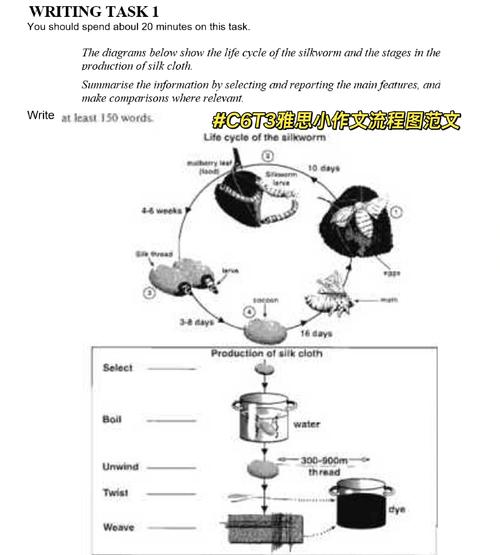 sat流程 先考作文，sat作文要求