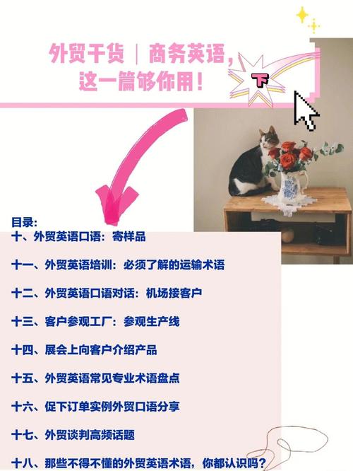 接机常用口语，接机常用口语怎么说