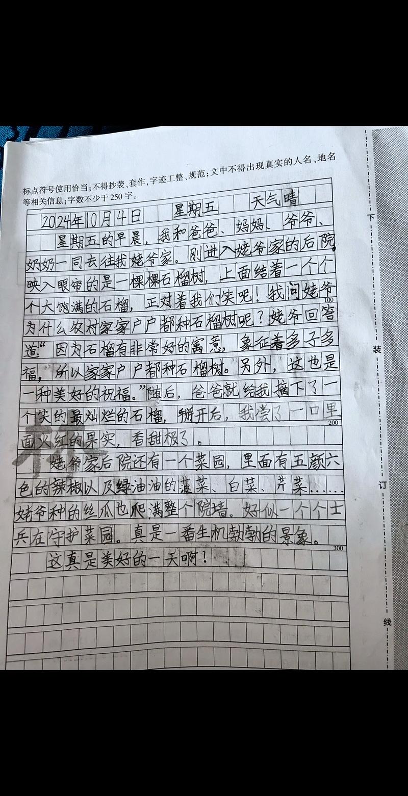 11月26日作文,11月26日记