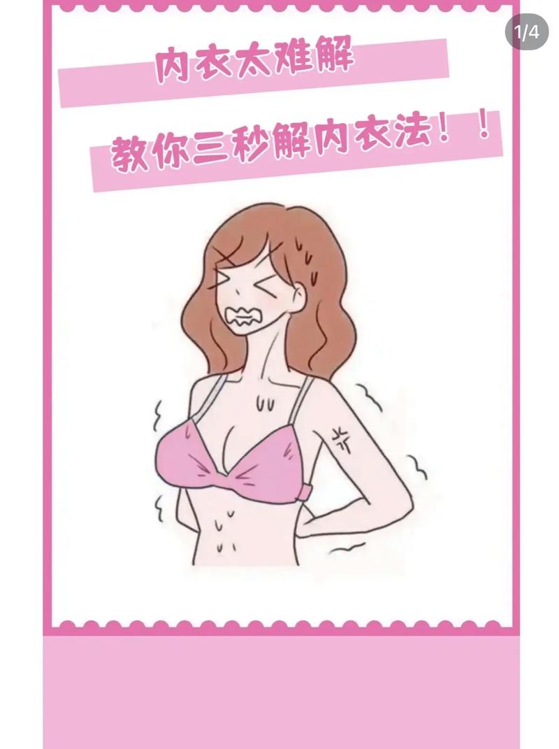 内衣小常识图片卡通