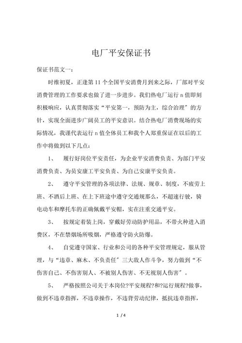 电厂安全教育范文