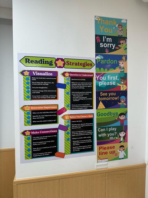 托福art口语，托福口语student art display