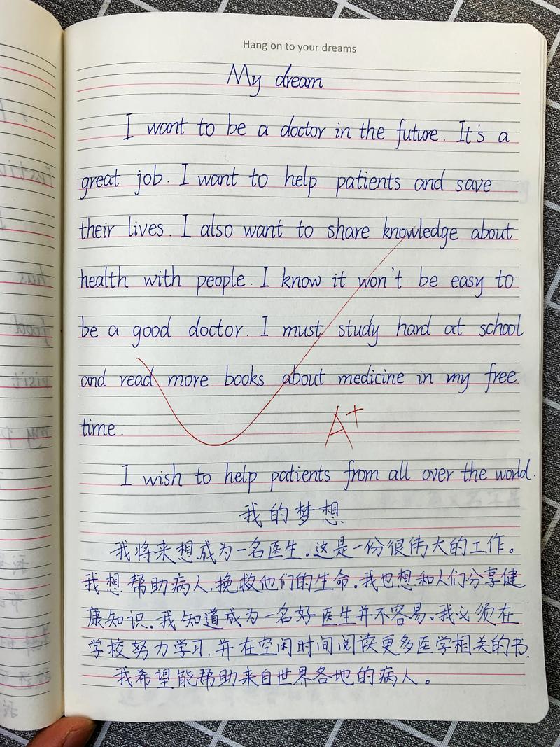 写英语作文范文