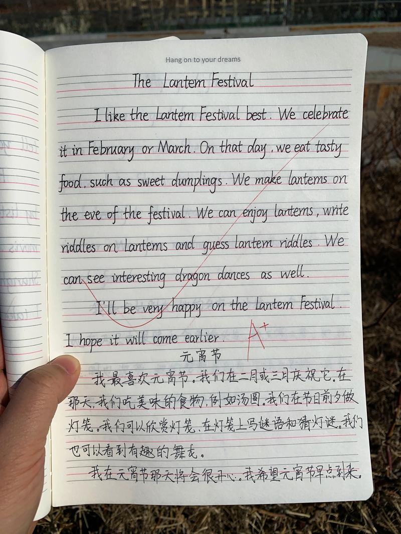 写英语作文范文