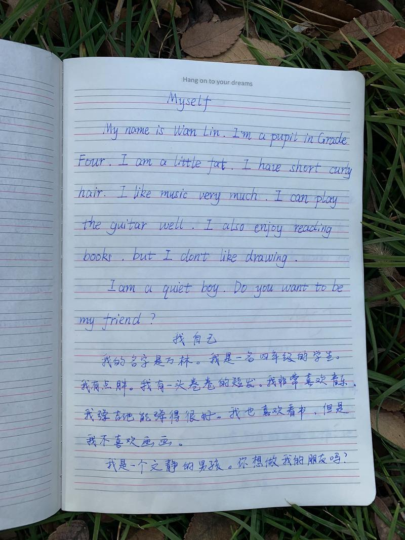 写英语作文范文