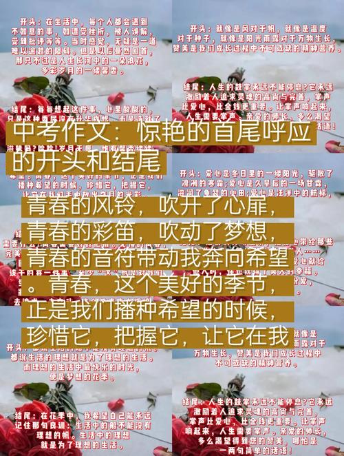 惊艳的作文开头