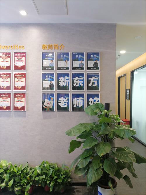 成都新东方口语培训班，成都新东方口语培训班地址