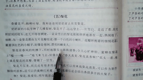 动态小作文怎么写，动态小作文怎么写三年级