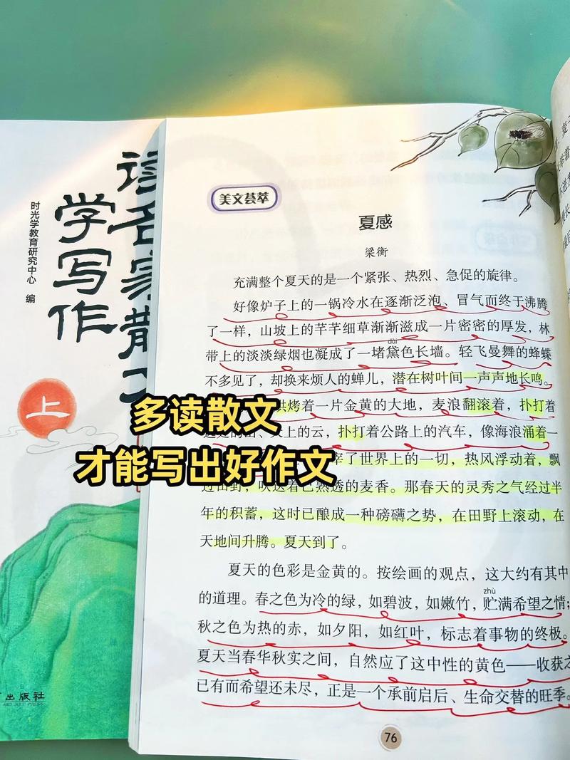 剑11阅读 小作文,剑11阅读答案