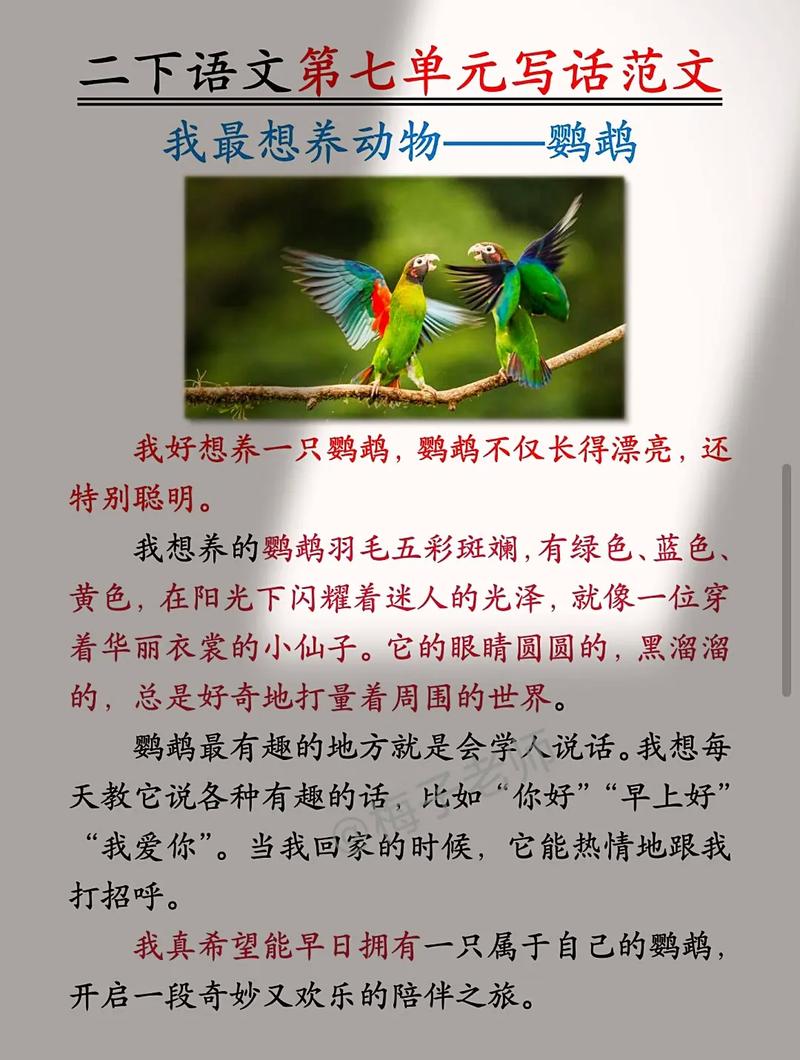 鸟的口语,鸟的口语交际