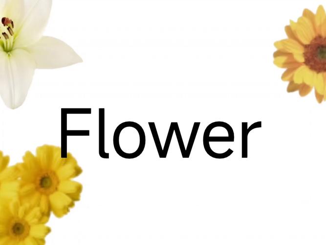雅思口语flower