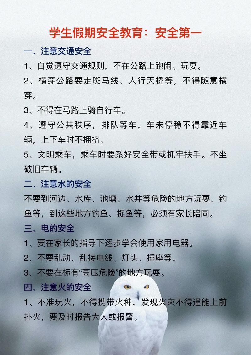 寒假安全教育措施