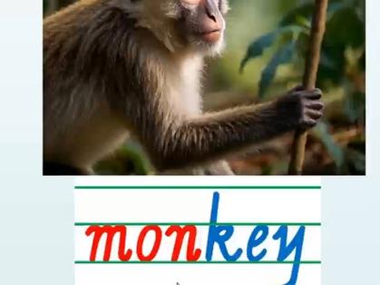 雅思口语monkey