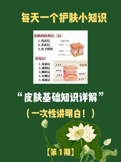 护肤知识大全护肤小常识