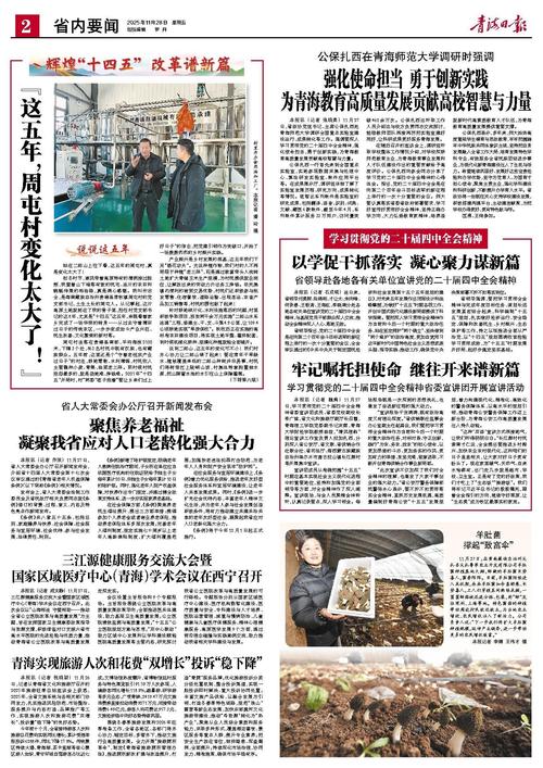 青海十五年免费教育政策