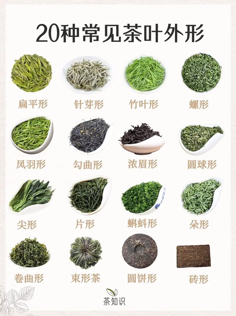 茶叶知识常识 百度