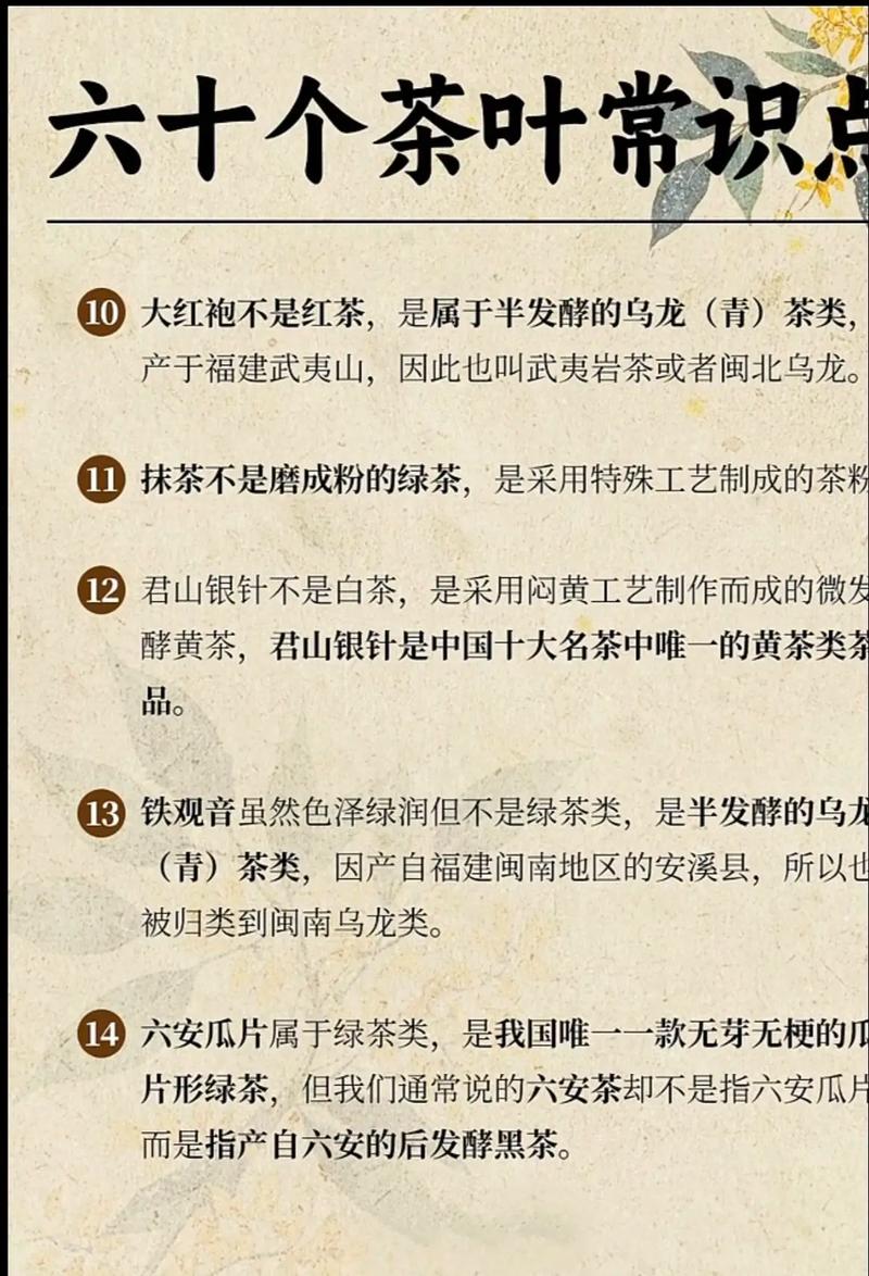 茶叶知识常识 百度