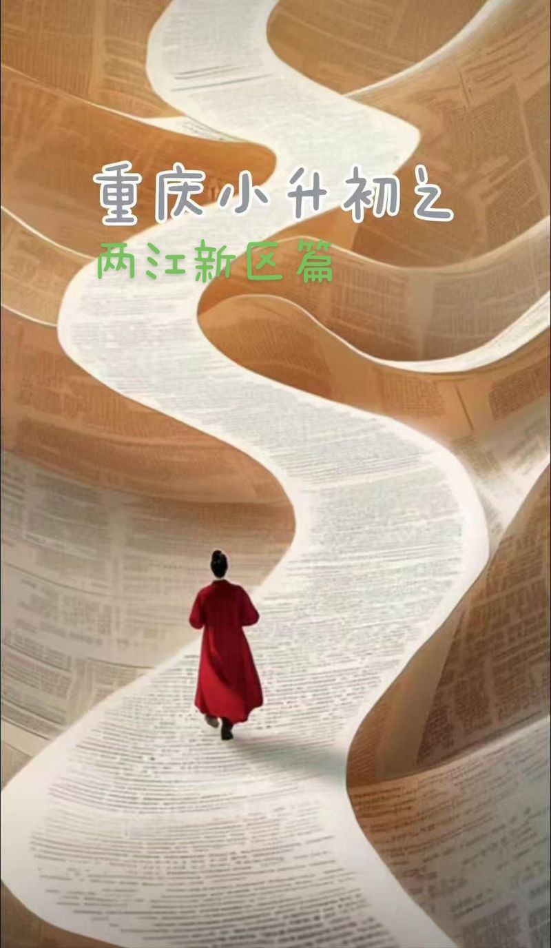 重庆两江新区教育政策