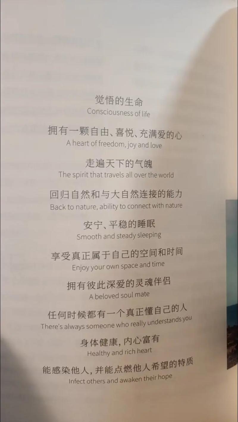 十大奢侈品作文