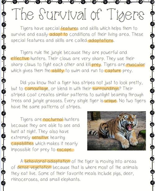 东北虎英语作文