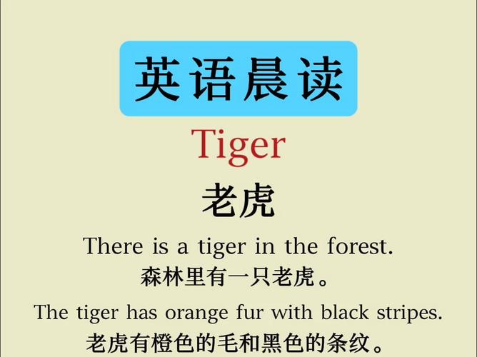 东北虎英语作文